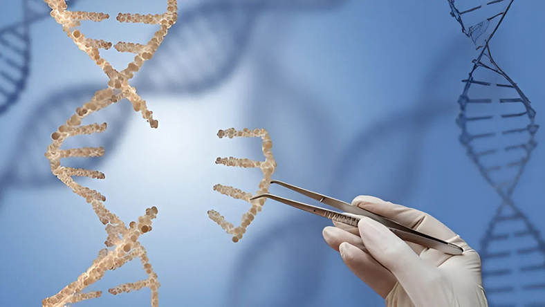 CRISPR’s Bold Bet: One Shot to Disrupt Cholesterol Care