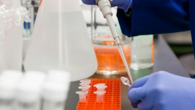 Laboratory researcher pipetting samples during obesity drug development research