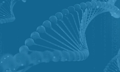 European Peptide Drug Summit 2026